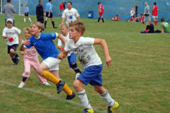 8859083-2008_12
