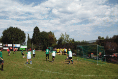 8859608-2011_38